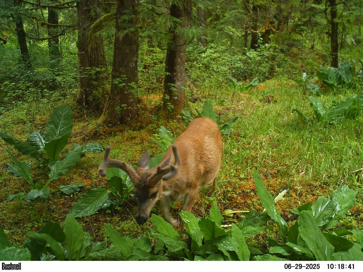 Highlights From 3&nbsp;Cameras