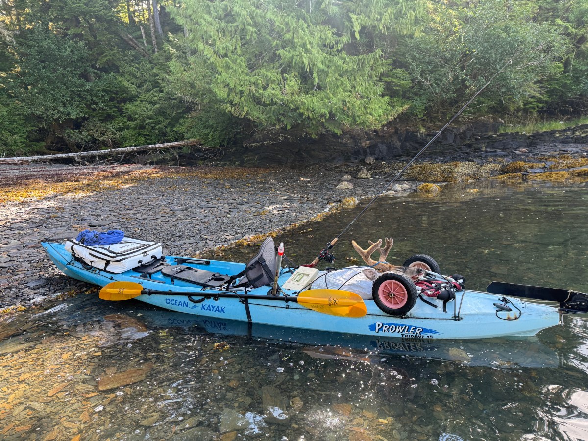 Photos from the Beginning of this Year’s Deer&nbsp;Season